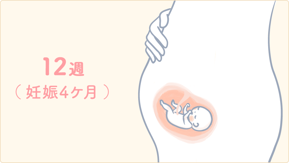 12 週 妊娠 12週の壁とは？妊娠中プレママがぶつかる3つ目の壁