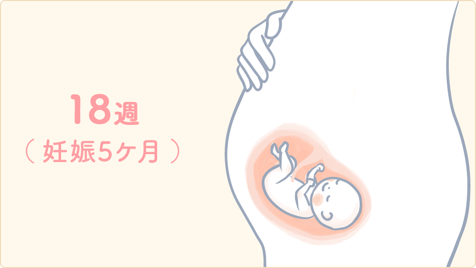 赤ちゃんの発育