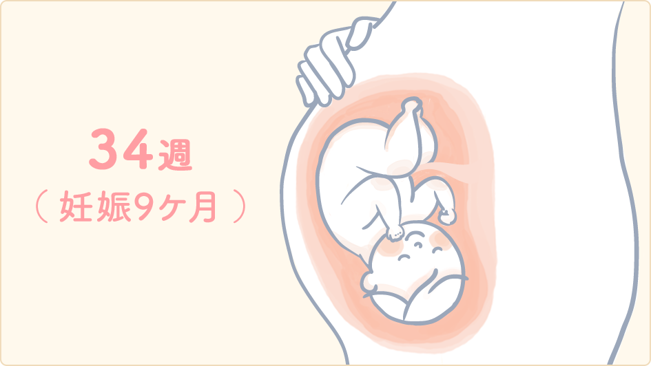 【妊娠34週目】お腹の張りや胎動は出産が近づいているサイン？ 生理のことから妊娠・出産・育児まで。女性のための